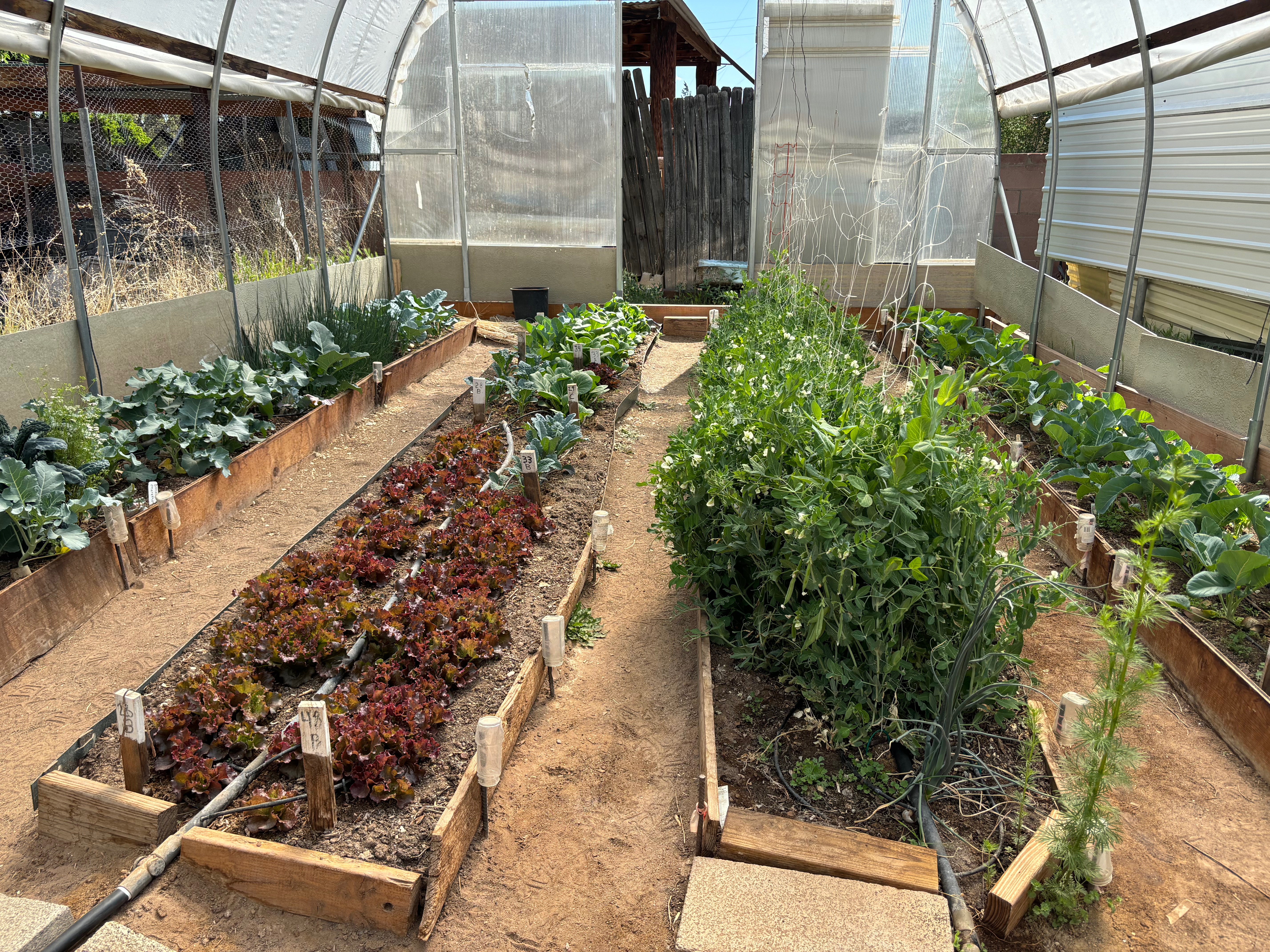 Greenhouse at Entropy Farms